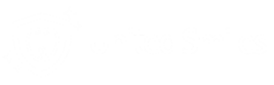 Visit United Smiles